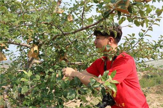 【湖北】【CRI原创】js33333线路登录：聚焦乡村振兴战略 心系美丽乡村建设